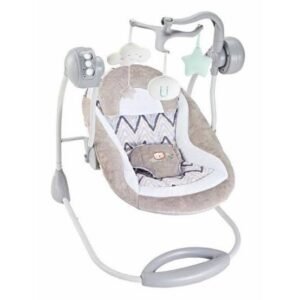 Fitch Baby Deluxe Bouncer Portable Swing