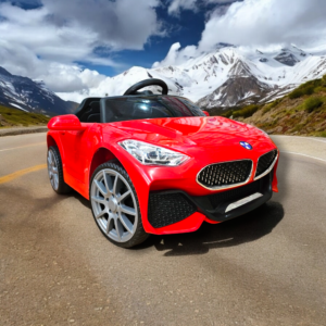 LittleRider Electric Car